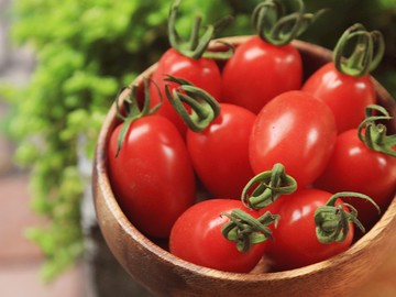 無毒農【玉女小番茄】幸福の味農園