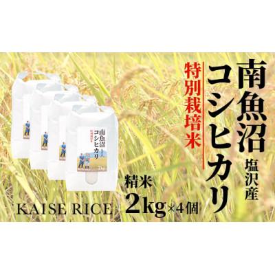 ふるさと納税 南魚沼市 南魚沼産塩沢コシヒカリ(特別栽培米)精米2kg×4個