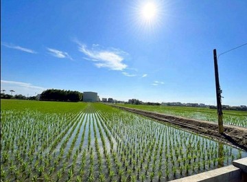 【宜蘭壯圍｜五權段三面臨路優質農地】｜宜蘭縣壯圍鄉五權段