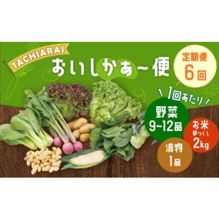 ふるさと納税 「TACHIARAI」おいしかぁ〜便 (夢つくし2kg入) 野菜の詰め合わせ 9〜12品 福岡県大刀洗町