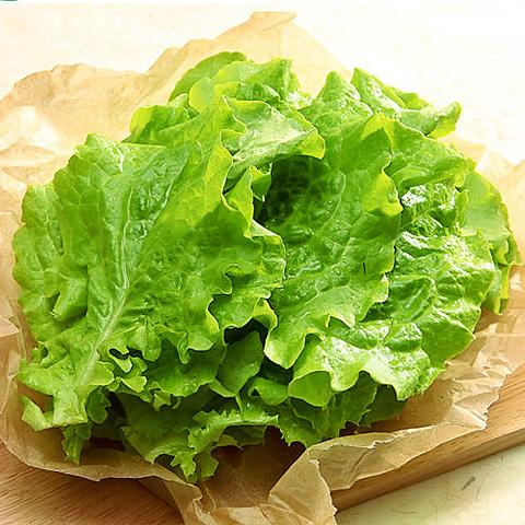 [冷]サンチュ 1箱(100枚) 日本産 大量 野菜 焼肉 レタス