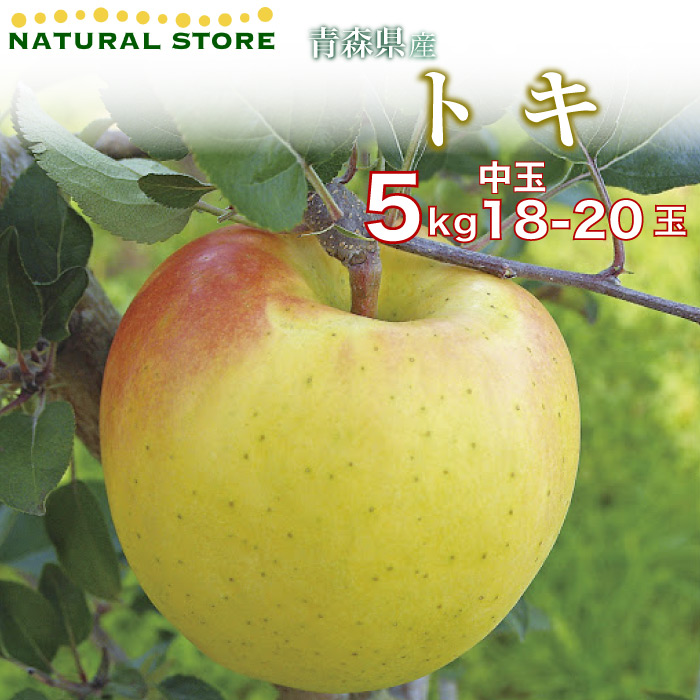 [最短順次発送]  トキりんご 18玉-20玉（中玉） 5kg 箱 りんご 青森県産 とき りんご ギフト リンゴ