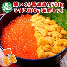 2種 海鮮丼 鱒いくら醤油漬け500g  ウニ200g 北海道 弟子屈町 733