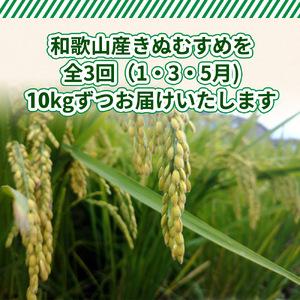 ふるさと納税 DW6014n_きぬむすめ 精米 10kg 和歌山県湯浅町