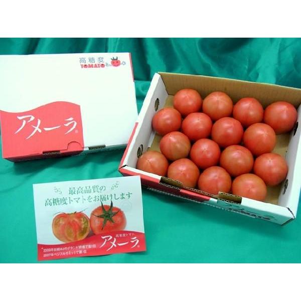 静岡県産 ”高糖度フルーツトマト アメーラ” 10〜20個前後 約1kg 化粧箱入り 送料無料