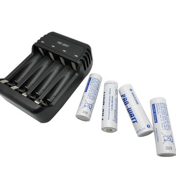 貓｜ PRO-WATT華志  鎳氫電池充電器+ 3號4入電池 ZN423E-20 智慧充電 快速充電