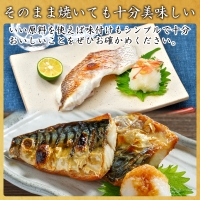 玄あじ玄さばと釣り赤むつの天日干し 3種12枚 セット 干物 おかず ギフト 昭徳