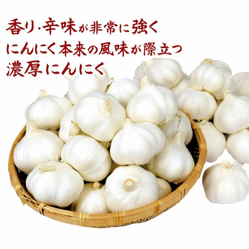 10kg 三重県産嘉定種 令和４年度産 ニンニク 中球(M球程度