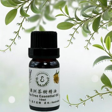 天然純精油 茶樹精油 10/50ML 100%純精油 單方精油