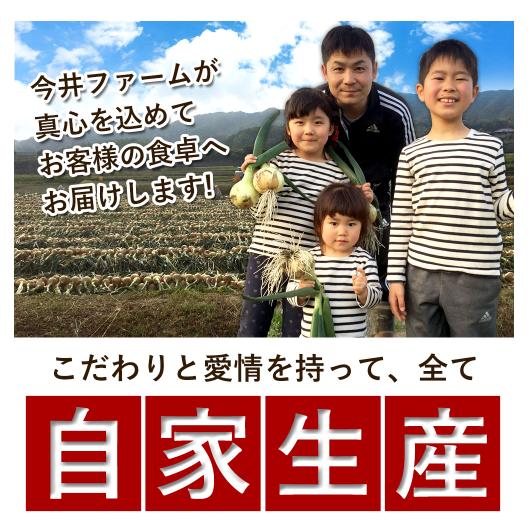 玉ねぎ 2kg 訳あり 淡路島 Sサイズ〜2Lサイズお任せ 減農薬 有機肥料栽培 かくし玉 今井ファ−ム たまねぎ タマネギ 玉葱 ＃(訳)かくし玉2kg＃