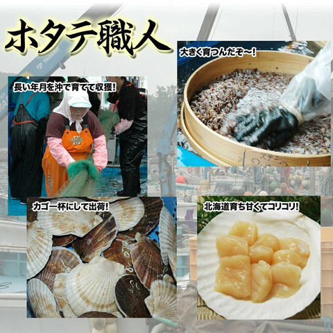 ほたて 帆立　訳あり 貝柱 生 冷凍 1kg 61～100玉前後 北海道産 ［ お刺身 生食 刺身 海鮮丼 ］[ 割れ欠けが少ない軽度な 訳有 (わけあり) A 特 等