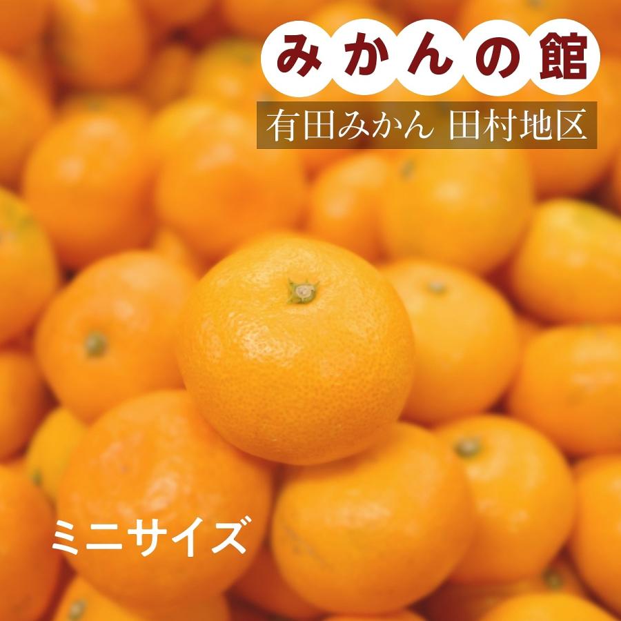 みかん  有田みかん 田村地区産 ちびみかん ミニ ぷちすぃーと 10kg S以下 和歌山県 蜜柑 ミカン 柑橘 《12 中旬〜12 下旬より出荷》