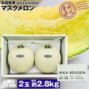 マスクメロン ギフト 高級 2玉 合計2.8kg (1.4kg×2玉)  良品 産地直送 高知県産 贈答用 産直 常温便 同梱不可 指定日不可