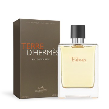TERRE dHermes大地男性淡香水(100ml)-國際航空版