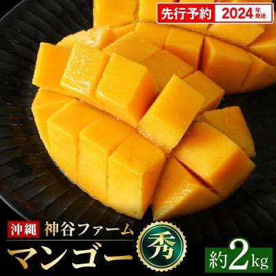 ふるさと納税 八重瀬町 2024年夏!マンゴー秀品 約2kg(3〜6玉)