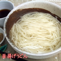 さっとできてさっと食べられる ささっとうどん 10入 (H014116)