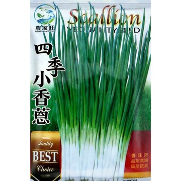 台灣現貨 【原裝四季小香蔥種子】 青蔥 細香蔥 珠蔥 粉蔥 日蔥 種蔥 家庭菜園 陽台盆栽 蔬菜種籽 新手友善 快速收成