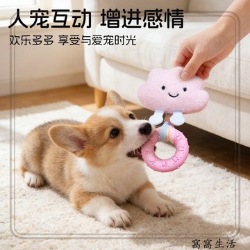 台灣出貨 狗狗玩具磨牙咬咬圈毛絨發聲幼犬狗耐咬自嗨解悶互動小狗寵物用品