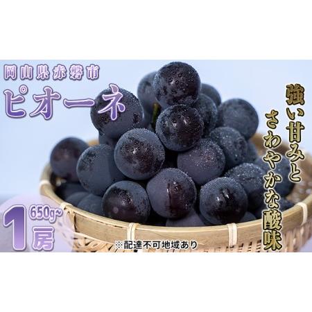 ふるさと納税 ぶどう 2024年 先行予約 ニュー ピオーネ 大粒 大房 1房 650g以上 ブドウ 葡萄 岡山県 赤磐市産 国産 フルーツ 果物 ギフト 赤坂青.. 岡山県赤磐市