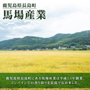 ふるさと納税 ＜2024年1月・2月・3月にお届け！＞令和5年産 馬場産業のひのひかり 定期便B 計3回(10kg・5kg×2袋) 鹿児島県産 国産 特産品.. 鹿児島県長島町