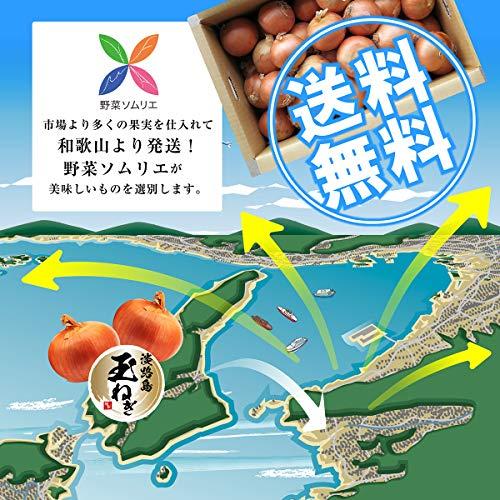 新玉ねぎ 淡路島 サイズ M〜LL 赤秀 ※ 野菜ソムリエ監修 のし対応可能 (3キロ)