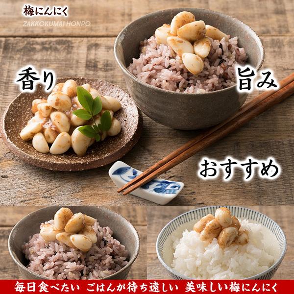 激旨 梅にんにく 200g(100g×2袋) 全く臭わない 元気の源無臭ニンニク ニオイなし スタミナ スタミナ食  ＼セール／