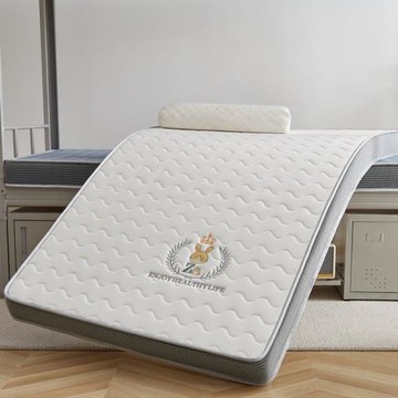 A類學生宿舍抗菌加厚刺繡乳膠床墊慢回彈海綿墊超軟單人軟墊褥子