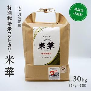 ふるさと納税 令和5年産 ノータス研究所 コシヒカリ5kg 鳥取県日南町