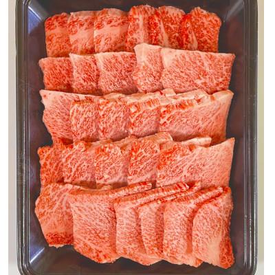 ふるさと納税 佐賀市 佐賀牛焼き肉セット500g×1パック