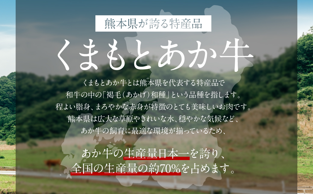 あか牛もつ鍋セット (あか牛ミックスホルモン500g、もつ鍋スープ500ml×2)