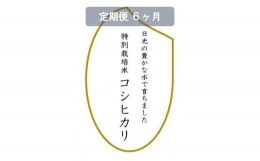 令和5年産　特別栽培米コシヒカリ　玄米10kg（5kg×2袋）