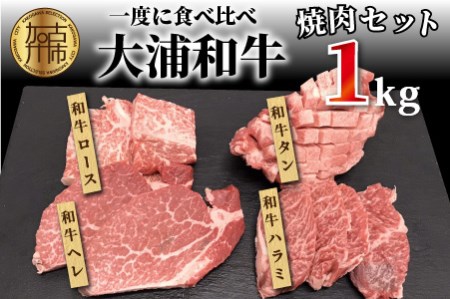 大浦和牛焼肉セット(1kg)《牛肉 牛 国産 焼肉 セット おすすめ ロース 美味しい 牛タン ハラミ ヒレ 食べ比べ バーベキュー》