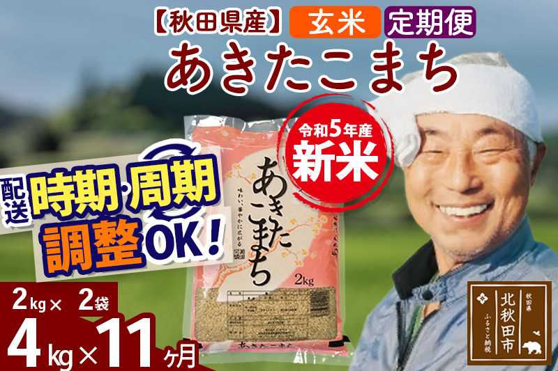 《定期便11ヶ月》＜新米＞秋田県産 あきたこまち 4kg(2kg小分け袋) 令和5年産 配送時期選べる 隔月お届けOK お米 おおもり|oomr-20211