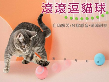 @貨比三家不吃虧@滾滾逗貓球 逗貓球 引力滾滾球 寵物玩具 自嗨解悶 寵物跳跳球 貓咪遊戲球 消耗體力 逗猫棒 逗貓車 鬥貓球