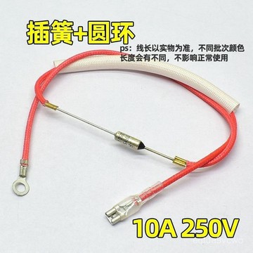 新款促銷#通用型電壓力鍋電飯煲掛燙機熱風槍溫度保險絲管電源超溫保護10A 3YKV