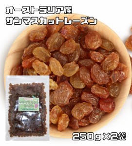 サンマスカットレーズン 250ｇ×2袋 オーストラリア産 世界美食探究 （メール便）ドライフルーツ シードレス サルタナ種 干しぶどう 製菓