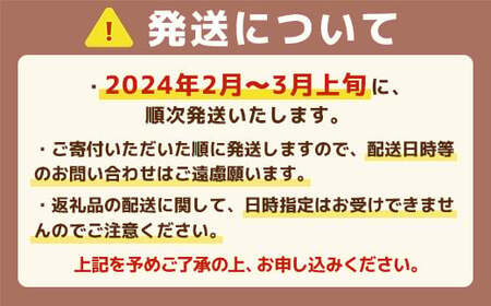 福岡県産 あまおうG以上 1500g 6パック 先行予約 2024年2月～3月上旬にかけて順次発送予定　TY017