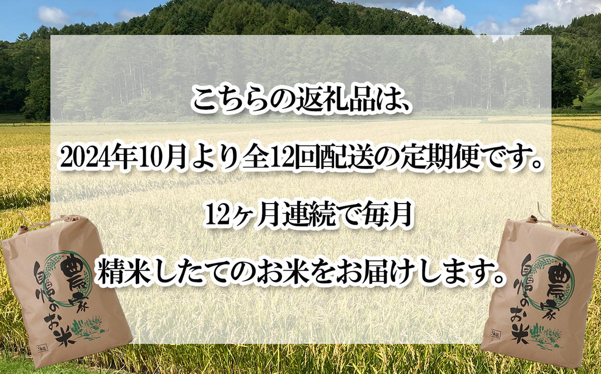 ＜ 予約 定期便 全12回 ＞ 北海道産 希少米 おぼろづき 白米 計 10kg (5kg×2) ＜2024年10月より配送＞