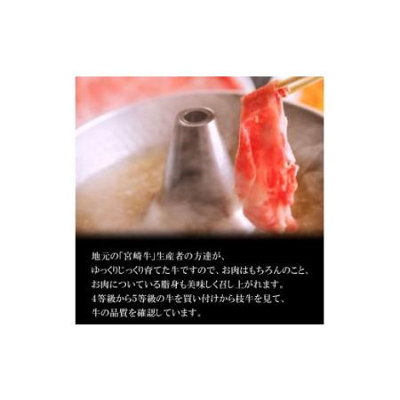 ふるさと納税 ＜宮崎牛和牛モモ肉しゃぶしゃぶ用500g＞ K01_0002_1 宮崎県木城町