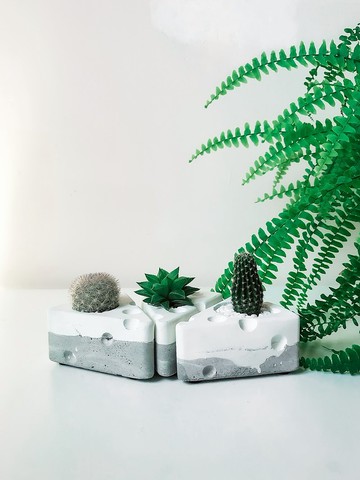 起司蛋糕多肉 仙人掌甜點水泥小盆栽生日蛋糕 Pinkoi 設計購物網站 Line購物