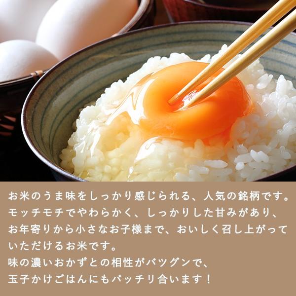 新米 滋賀県産 ミルキークイーン 白米 5kg 令和５年産