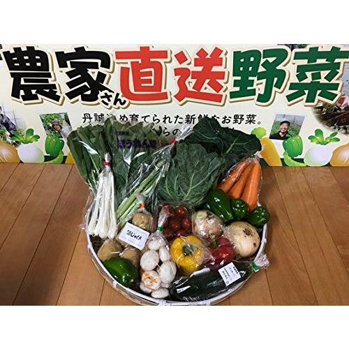 野菜セット 茨城県・千葉県産 農家さん直送野菜 10品目以上 夏季クール便対応