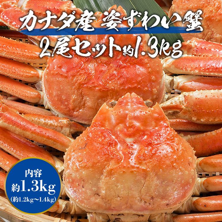 かに カニ 蟹 ズワイガニ 姿ずわい2尾 約1.3kg(1.2kg〜1.4kg) かに味噌 送料無料かに グルメ 食品 優良配送 お歳暮 ギフト 10%クーポン