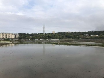 近楊梅車站都內農｜桃園市楊梅區水美段