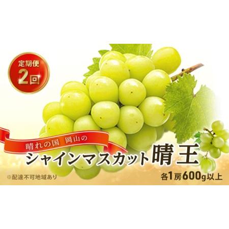 ふるさと納税 ぶどう 2024年 先行予約 晴れの国 岡山の シャイン マスカット 晴王 定期便 2回（各1房600g以上） 葡萄  岡山県産 国産 フルーツ .. 岡山県玉野市