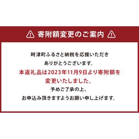 ふるさと納税 長崎県産 本マグロ「中トロ」約700g 長崎県時津町