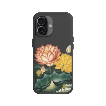 iPhone 17 SolidX 黑 - The British Library - 花之殿 ‧ 蓮