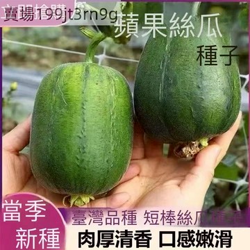 現貨🥒【蘋果絲瓜種子】🥒 今年新種 早熟生育強建，節成性強。短筒型，品質極佳，果長18公分左右 農家田園盆栽果菜種子