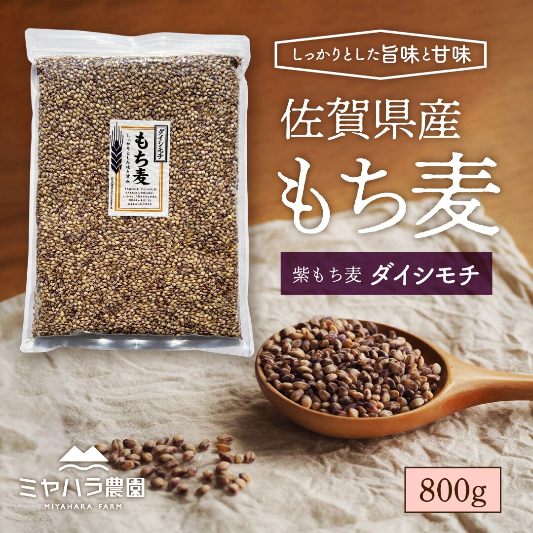 もち麦 800g 紫もち麦 ダイシモチ