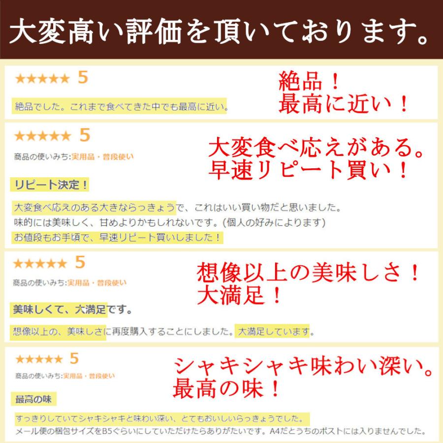 らっきょう 国産 190gx10袋 無添加 低温熟成 鳥取 ふぞろい らっきょう漬け 国産 ラッキョウ漬け 甘酢漬け 送料無料